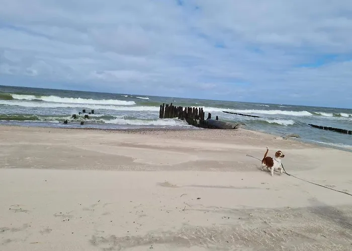 Διαμέρισμα Z Widokiem, Osiedle Feniks *